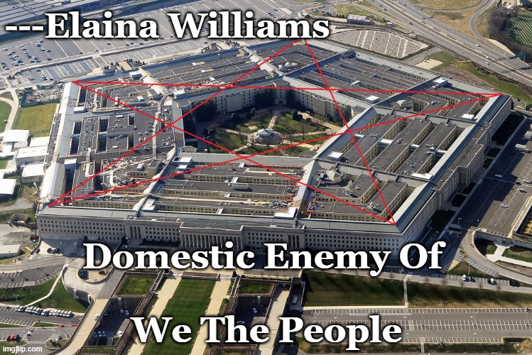 Evil Government | ---Elaina Williams; Domestic Enemy Of 
 
We The People | image tagged in evil government | made w/ Imgflip meme maker