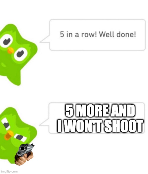 Duolingo 5 in a row | 5 MORE AND I WON'T SHOOT | image tagged in duolingo 5 in a row | made w/ Imgflip meme maker