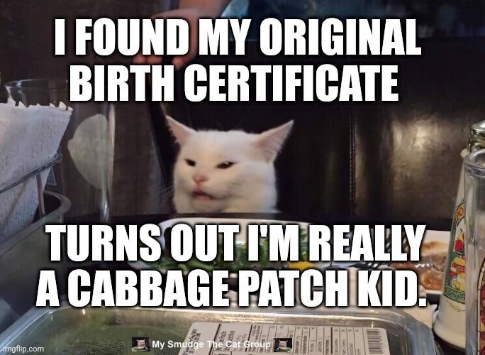 I FOUND MY ORIGINAL BIRTH CERTIFICATE; TURNS OUT I'M REALLY A CABBAGE PATCH KID. | image tagged in smudge the cat,funny memes | made w/ Imgflip meme maker