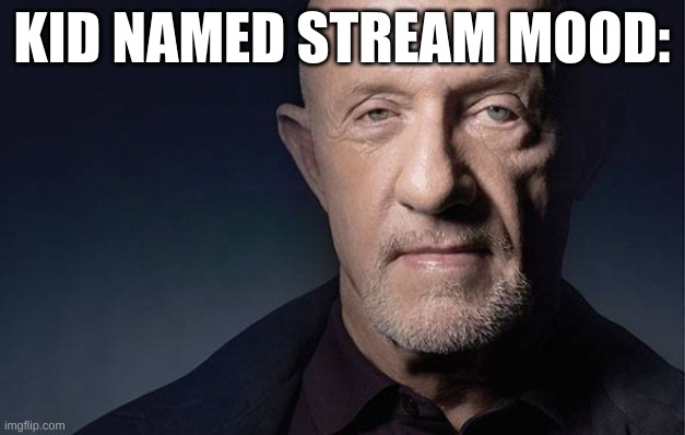 @ stream mood | KID NAMED STREAM MOOD: | image tagged in kid named | made w/ Imgflip meme maker