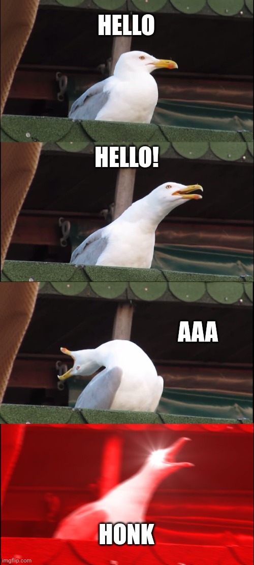 Inhaling Seagull | HELLO; HELLO! AAA; HONK | image tagged in memes,inhaling seagull | made w/ Imgflip meme maker