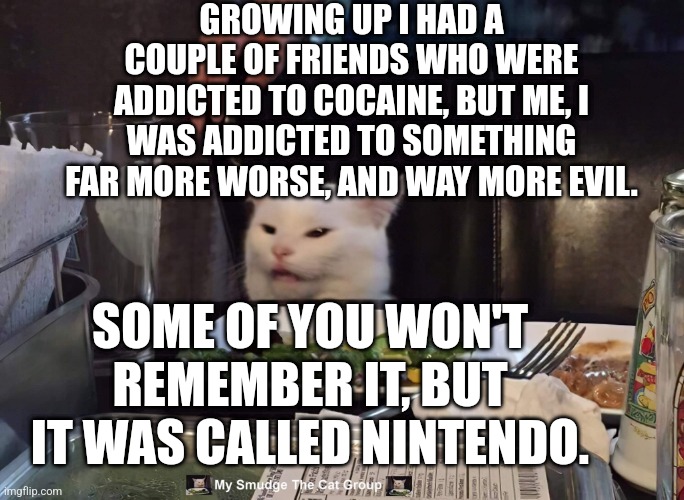 GROWING UP I HAD A COUPLE OF FRIENDS WHO WERE ADDICTED TO COCAINE, BUT ME, I WAS ADDICTED TO SOMETHING FAR MORE WORSE, AND WAY MORE EVIL. SOME OF YOU WON'T REMEMBER IT, BUT IT WAS CALLED NINTENDO. | image tagged in smudge the cat | made w/ Imgflip meme maker