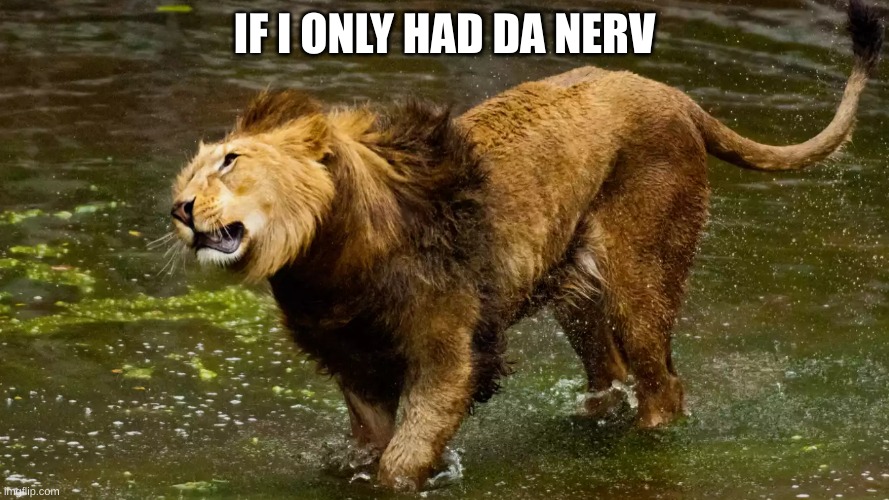 wizard of oz reference | IF I ONLY HAD DA NERVE | image tagged in memes | made w/ Imgflip meme maker