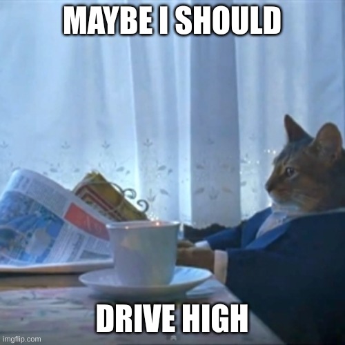 Cat reading the paper | MAYBE I SHOULD DRIVE HIGH | image tagged in cat reading the paper | made w/ Imgflip meme maker