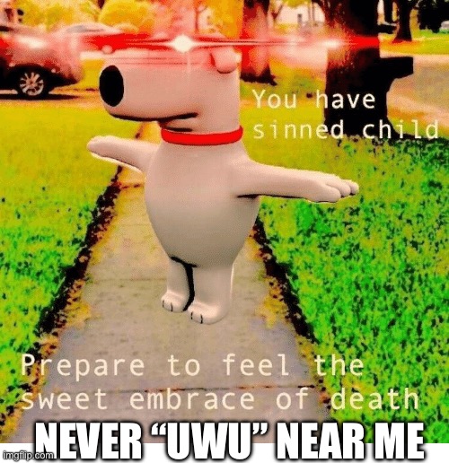 NEVER “UWU” NEAR ME | image tagged in you have sinned child prepare to feel the sweet embrace of death | made w/ Imgflip meme maker