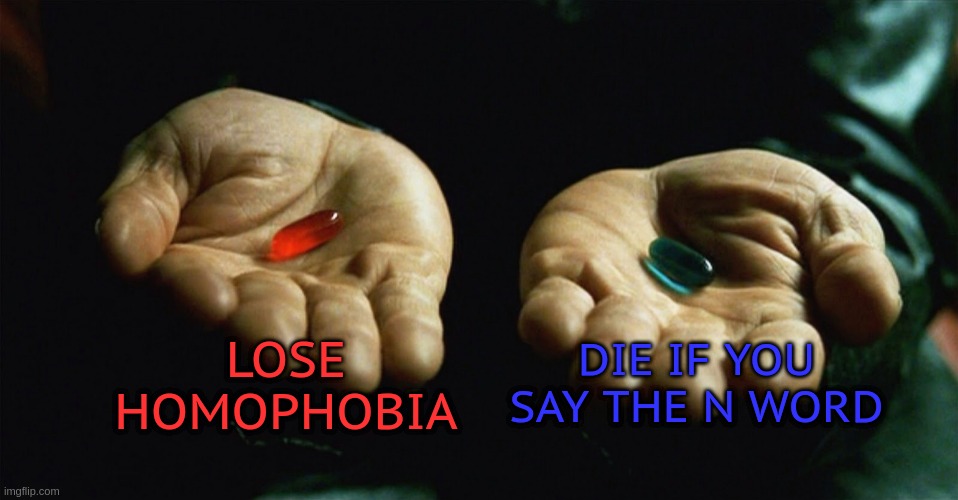this meme wont get any comments sadly | LOSE HOMOPHOBIA; DIE IF YOU SAY THE N WORD | image tagged in red pill blue pill | made w/ Imgflip meme maker
