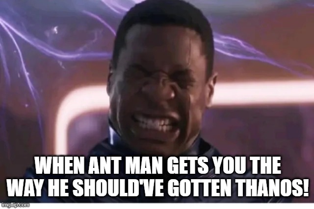 Kang Gonna get It | WHEN ANT MAN GETS YOU THE WAY HE SHOULD'VE GOTTEN THANOS! | image tagged in kang the conqueror | made w/ Imgflip meme maker