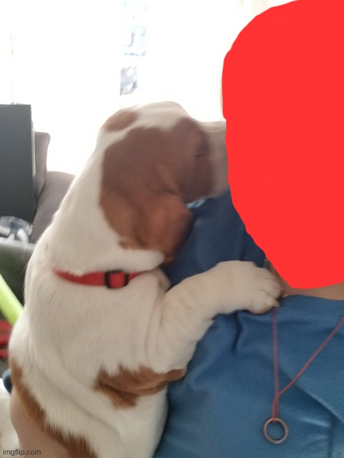 . | made w/ Imgflip meme maker