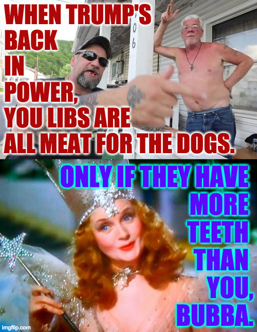 Trump supporters all bark and no bite. | WHEN TRUMP'S
BACK
IN
POWER,
YOU LIBS ARE
ALL MEAT FOR THE DOGS. ONLY IF THEY HAVE 
MORE 
TEETH 
THAN 
YOU,
BUBBA. | image tagged in memes,trump supporter bubba | made w/ Imgflip meme maker