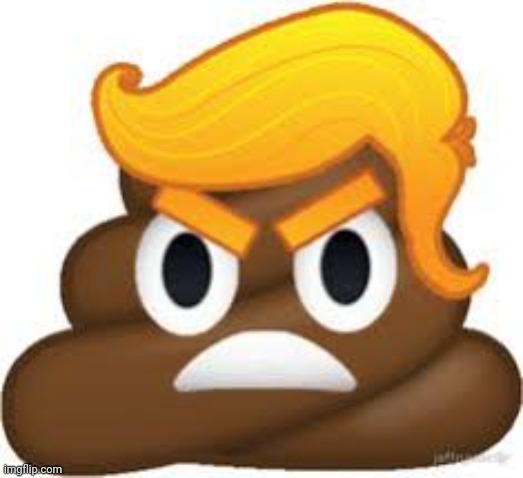 Angry Trump turd | image tagged in angry trump turd | made w/ Imgflip meme maker