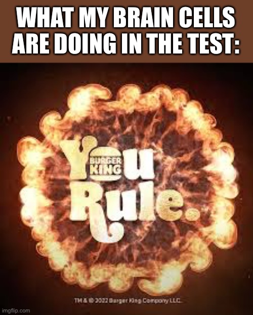 Everyone should know the song with just the photo | WHAT MY BRAIN CELLS ARE DOING IN THE TEST: | image tagged in burger king,test,brain | made w/ Imgflip meme maker