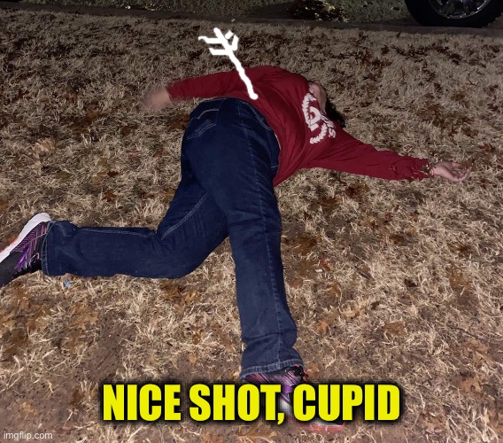 P on Ground | NICE SHOT, CUPID | image tagged in p on ground | made w/ Imgflip meme maker