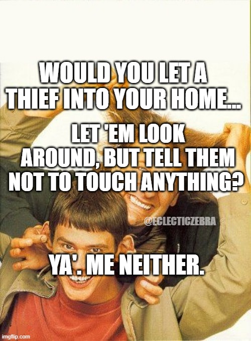 DUMB and dumber | WOULD YOU LET A THIEF INTO YOUR HOME... LET 'EM LOOK AROUND, BUT TELL THEM NOT TO TOUCH ANYTHING? @ECLECTICZEBRA; YA'. ME NEITHER. | image tagged in dumb and dumber | made w/ Imgflip meme maker