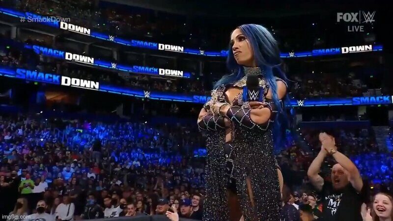 Sasha Banks Annoyed | image tagged in sasha banks annoyed | made w/ Imgflip meme maker