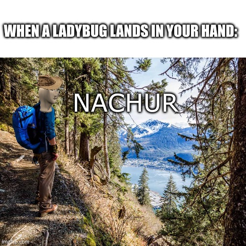 If it was a spider or something it would be a different story | WHEN A LADYBUG LANDS IN YOUR HAND:; NACHUR | image tagged in nature,stonks,hiking,animal | made w/ Imgflip meme maker