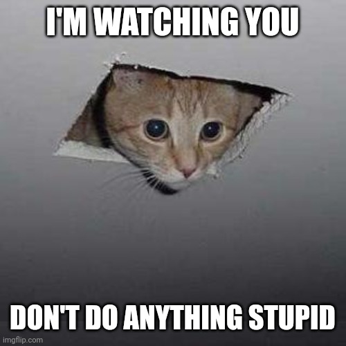 You heard the man | I'M WATCHING YOU; DON'T DO ANYTHING STUPID | image tagged in memes,ceiling cat | made w/ Imgflip meme maker