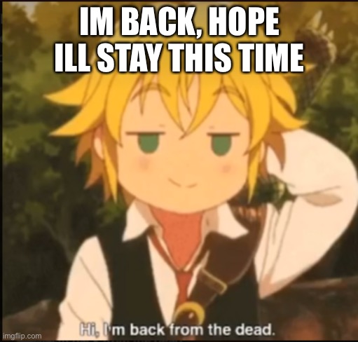 IM BACK | IM BACK, HOPE ILL STAY THIS TIME | image tagged in hi im back from the dead | made w/ Imgflip meme maker