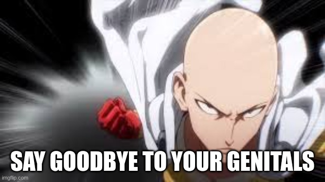 one punch man | SAY GOODBYE TO YOUR GENITALS | image tagged in one punch man | made w/ Imgflip meme maker