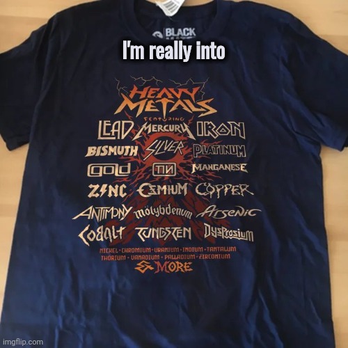 A Little Known Fandom | I'm really into | image tagged in rock music,well yes but actually no,first world metal problems,heavy breathing,average fan vs average enjoyer | made w/ Imgflip meme maker