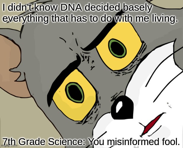 Unsettled Tom | I didn't know DNA decided basely everything that has to do with me living. 7th Grade Science: You misinformed fool. | image tagged in memes,unsettled tom | made w/ Imgflip meme maker