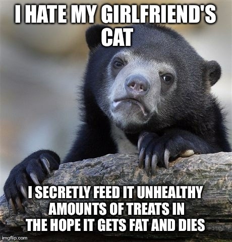 Confession Bear | I HATE MY GIRLFRIEND'S CAT I SECRETLY FEED IT UNHEALTHY AMOUNTS OF TREATS IN THE HOPE IT GETS FAT AND DIES | image tagged in memes,confession bear,AdviceAnimals | made w/ Imgflip meme maker