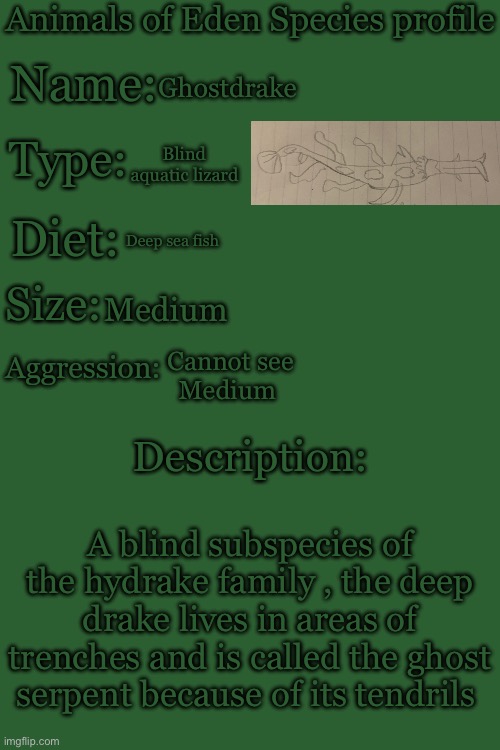 Animals of Eden Species Profile | Ghostdrake; Blind aquatic lizard; Deep sea fish; Medium; Cannot see
Medium; A blind subspecies of the hydrake family , the deep drake lives in areas of trenches and is called the ghost serpent because of its tendrils | image tagged in animals of eden species profile | made w/ Imgflip meme maker