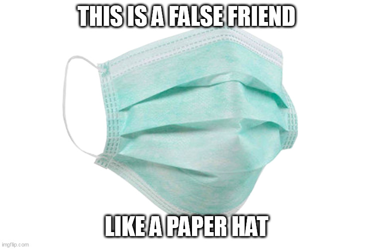 Face mask | THIS IS A FALSE FRIEND; LIKE A PAPER HAT | image tagged in face mask | made w/ Imgflip meme maker