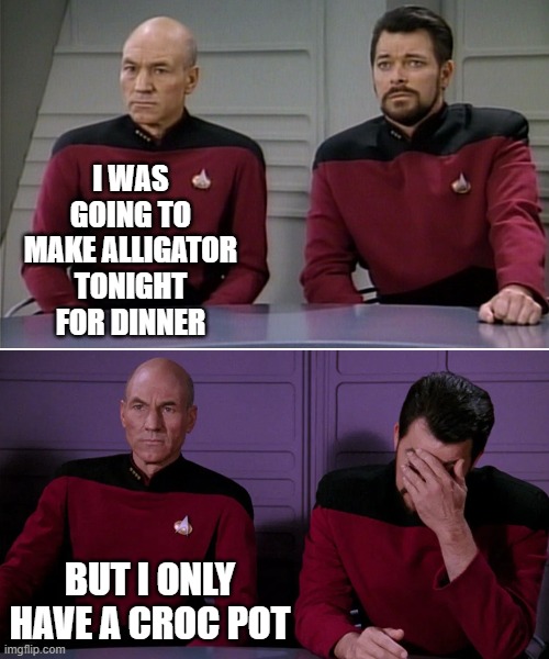 Picard Riker listening to a pun | I WAS GOING TO MAKE ALLIGATOR TONIGHT FOR DINNER; BUT I ONLY HAVE A CROC POT | image tagged in picard riker listening to a pun | made w/ Imgflip meme maker