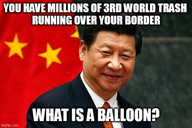 Xi Jinping | YOU HAVE MILLIONS OF 3RD WORLD TRASH 
RUNNING OVER YOUR BORDER; WHAT IS A BALLOON? | image tagged in xi jinping | made w/ Imgflip meme maker