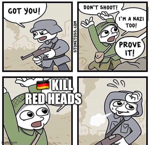 Don't shoot i'm a nazi too | 🇩🇪 KILL RED HEADS | image tagged in don't shoot i'm a nazi too | made w/ Imgflip meme maker