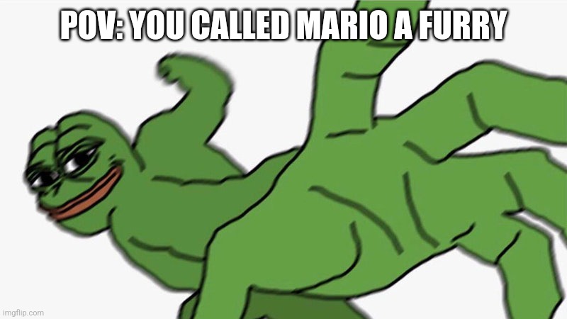Pepe POV | POV: YOU CALLED MARIO A FURRY | image tagged in pepe pov | made w/ Imgflip meme maker