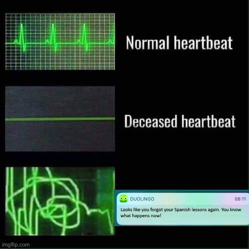 Looks like my time has come | image tagged in heart beat meme,normal heartbeat deceased heartbeat,heartbeat,duolingo bird,duolingo,heart beat | made w/ Imgflip meme maker