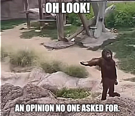 No One Asked You... | OH LOOK! AN OPINION NO ONE ASKED FOR. | image tagged in orangutan | made w/ Imgflip meme maker
