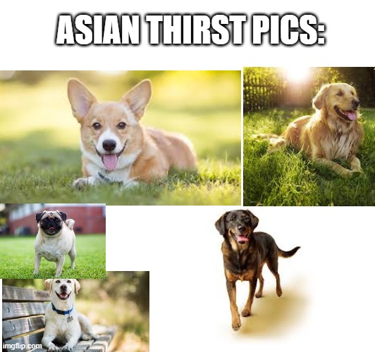 Yummy food | ASIAN THIRST PICS: | image tagged in asian | made w/ Imgflip meme maker