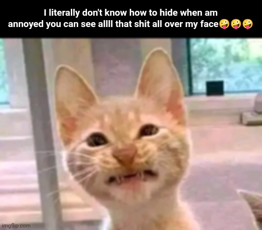 Nickydm | I literally don't know how to hide when am annoyed you can see allll that shit all over my face🤪🤪🤪 | image tagged in angry | made w/ Imgflip meme maker
