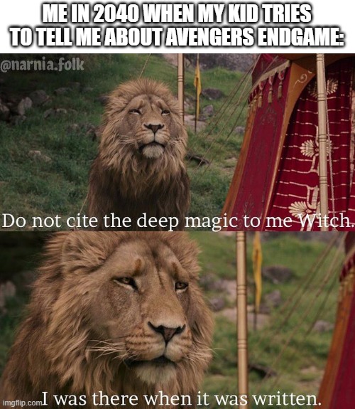 Do not cite the deep magic to me witch | ME IN 2040 WHEN MY KID TRIES TO TELL ME ABOUT AVENGERS ENDGAME: | image tagged in do not cite the deep magic to me witch,memes,funny,avengers endgame | made w/ Imgflip meme maker