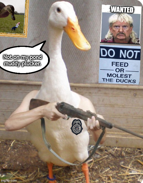 Don't fl**k wif da duck | WANTED; Not on my pond muddy plucker. | image tagged in memes,dark humor | made w/ Imgflip meme maker