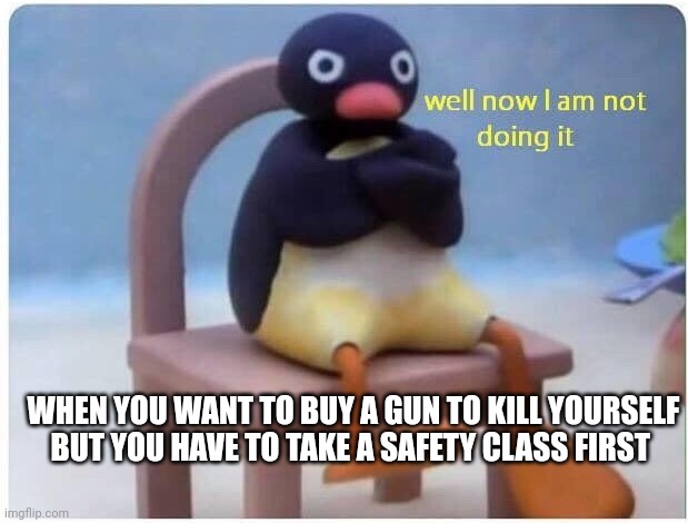 GunZ | WHEN YOU WANT TO BUY A GUN TO KILL YOURSELF BUT YOU HAVE TO TAKE A SAFETY CLASS FIRST | image tagged in well now i'm not doing it | made w/ Imgflip meme maker