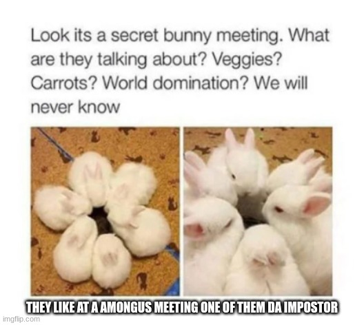 yes they are | THEY LIKE AT A AMONGUS MEETING ONE OF THEM DA IMPOSTOR | image tagged in amogus | made w/ Imgflip meme maker