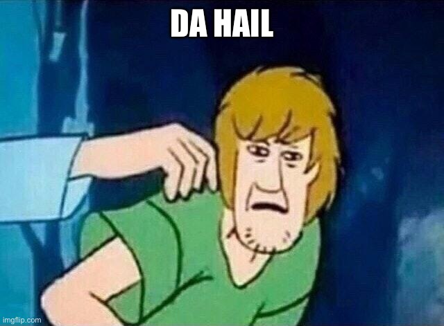 Scooby Doo Shaggy  | DA HAIL | image tagged in scooby doo shaggy | made w/ Imgflip meme maker
