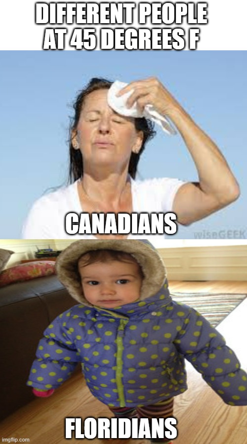 It's All About Perspective | DIFFERENT PEOPLE AT 45 DEGREES F; CANADIANS; FLORIDIANS | image tagged in cold,hot,climate | made w/ Imgflip meme maker