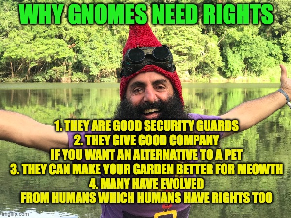 I mean I don't believe in the evolution where Humans evolved from Apes because we're created under God's image | WHY GNOMES NEED RIGHTS; 1. THEY ARE GOOD SECURITY GUARDS
2. THEY GIVE GOOD COMPANY IF YOU WANT AN ALTERNATIVE TO A PET
3. THEY CAN MAKE YOUR GARDEN BETTER FOR MEOWTH
4. MANY HAVE EVOLVED FROM HUMANS WHICH HUMANS HAVE RIGHTS TOO | image tagged in gnome,rights,reasons,to,have rights,for gnomes | made w/ Imgflip meme maker