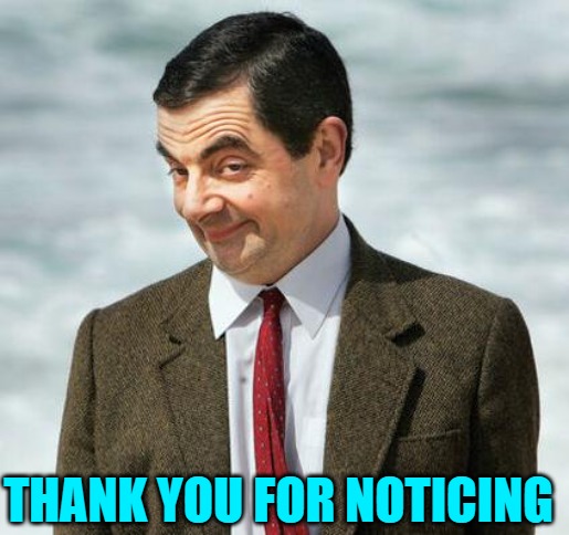 mr bean | THANK YOU FOR NOTICING | image tagged in mr bean | made w/ Imgflip meme maker