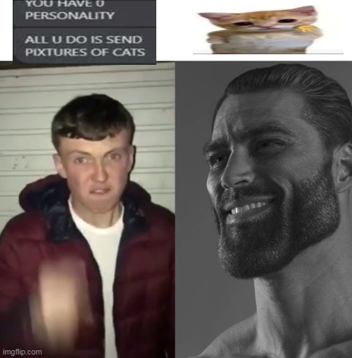 Average Fan vs Average Enjoyer | image tagged in average fan vs average enjoyer | made w/ Imgflip meme maker