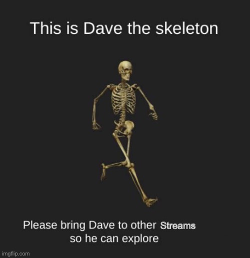 Please let him explore | Streams | image tagged in skeleton,dave | made w/ Imgflip meme maker