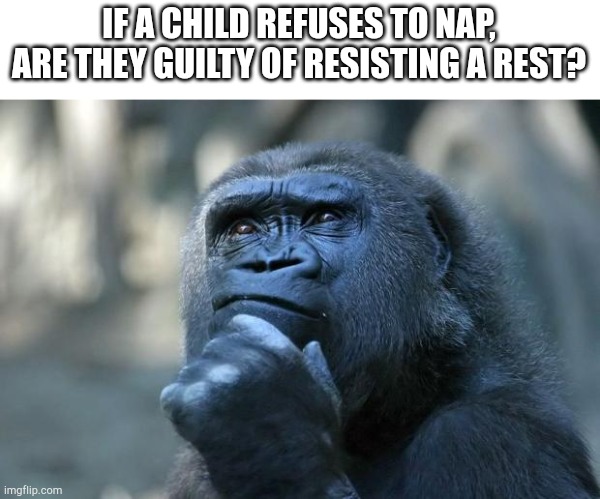 Deep Thoughts | IF A CHILD REFUSES TO NAP, ARE THEY GUILTY OF RESISTING A REST? | image tagged in deep thoughts | made w/ Imgflip meme maker