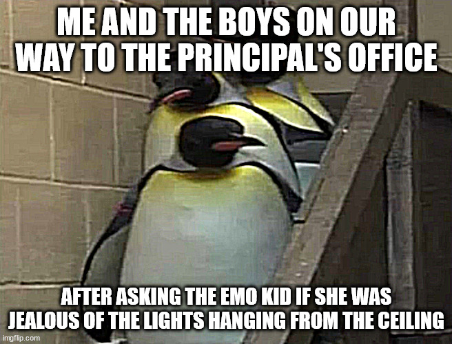 Penguins going to principal office | ME AND THE BOYS ON OUR WAY TO THE PRINCIPAL'S OFFICE; AFTER ASKING THE EMO KID IF SHE WAS JEALOUS OF THE LIGHTS HANGING FROM THE CEILING | image tagged in penguins going to principal office | made w/ Imgflip meme maker