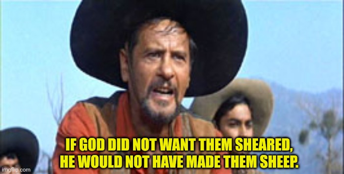 IF GOD DID NOT WANT THEM SHEARED, HE WOULD NOT HAVE MADE THEM SHEEP. | made w/ Imgflip meme maker