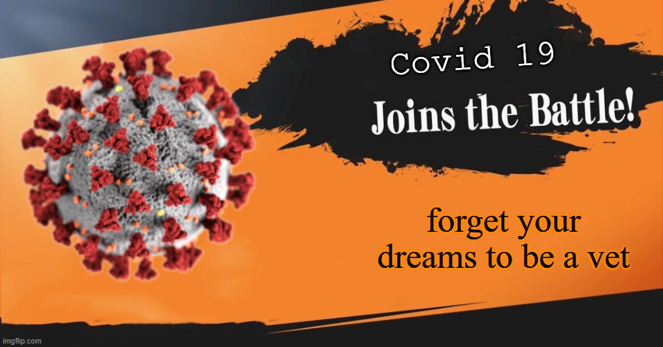 Smash Bros. | Covid 19 forget your dreams to be a vet | image tagged in smash bros | made w/ Imgflip meme maker