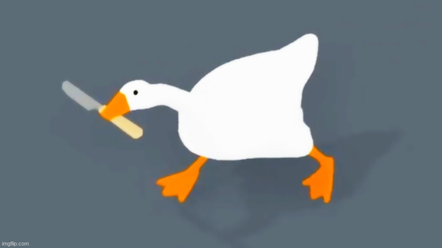 Goose with knife | image tagged in goose with knife | made w/ Imgflip meme maker